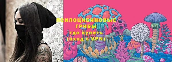 спиды Горняк