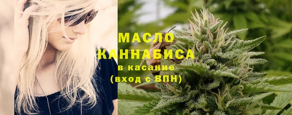 спиды Горняк