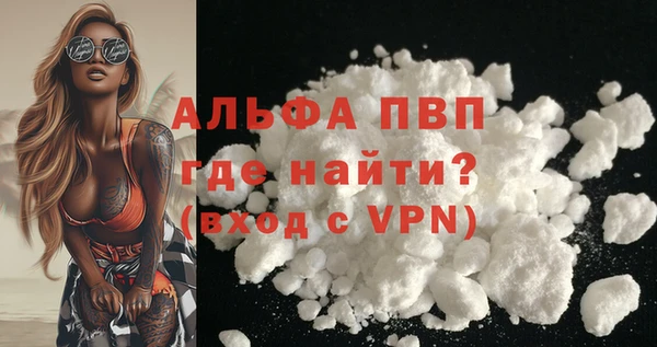 PSILOCYBIN Горнозаводск