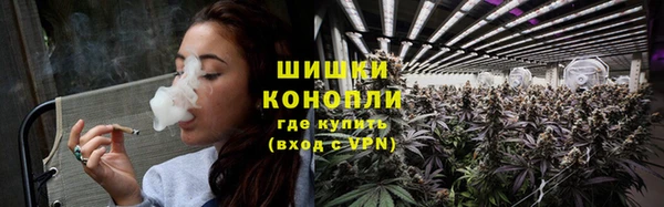 PSILOCYBIN Горнозаводск
