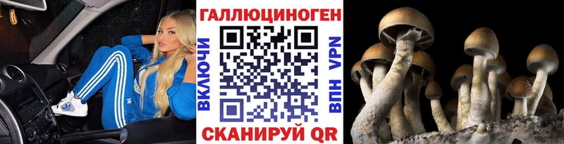 Галлюциногенные грибы мухоморы нарко площадка телеграм Меленки